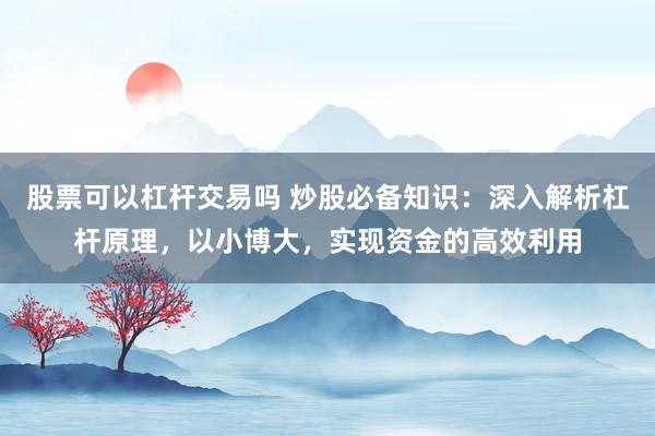 股票可以杠杆交易吗 炒股必备知识：深入解析杠杆原理，以小博大，实现资金的高效利用