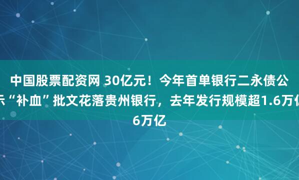 中国股票配资网 30亿元！今年首单银行二永债公示“补血”批文花落贵州银行，去年发行规模超1.6万亿
