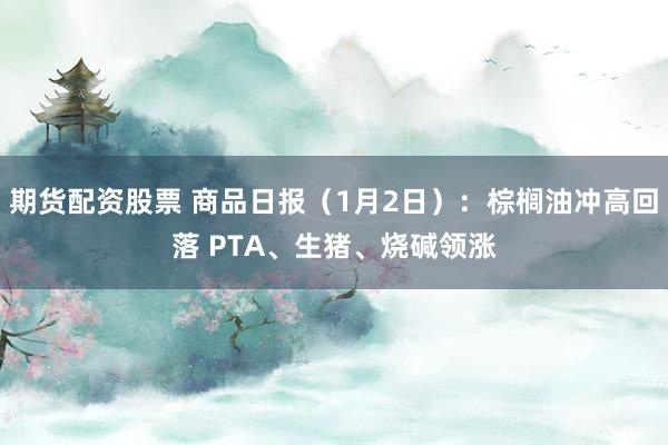 期货配资股票 商品日报（1月2日）：棕榈油冲高回落 PTA、生猪、烧碱领涨