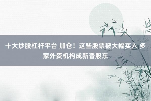 十大炒股杠杆平台 加仓！这些股票被大幅买入 多家外资机构成新晋股东
