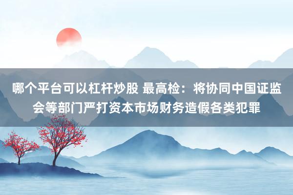 哪个平台可以杠杆炒股 最高检：将协同中国证监会等部门严打资本市场财务造假各类犯罪