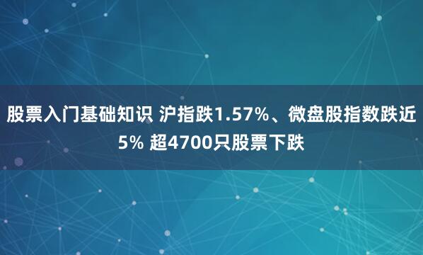股票入门基础知识 沪指跌1.57%、微盘股指数跌近5% 超4700只股票下跌