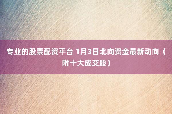 专业的股票配资平台 1月3日北向资金最新动向（附十大成交股）