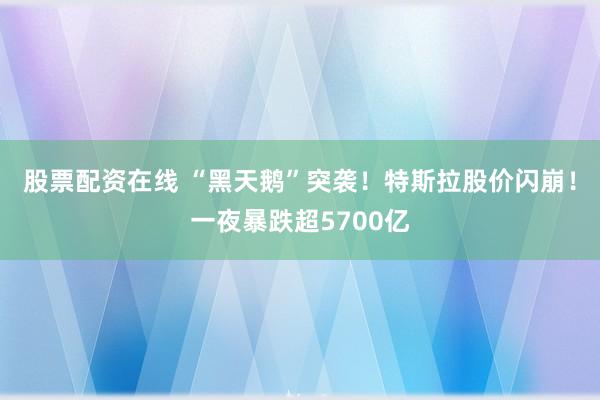 股票配资在线 “黑天鹅”突袭！特斯拉股价闪崩！一夜暴跌超5700亿
