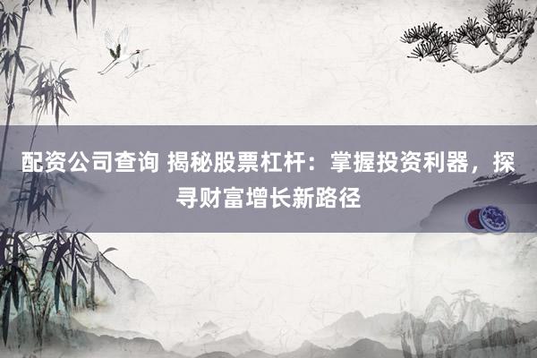 配资公司查询 揭秘股票杠杆：掌握投资利器，探寻财富增长新路径