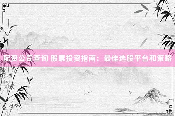 配资公司查询 股票投资指南：最佳选股平台和策略