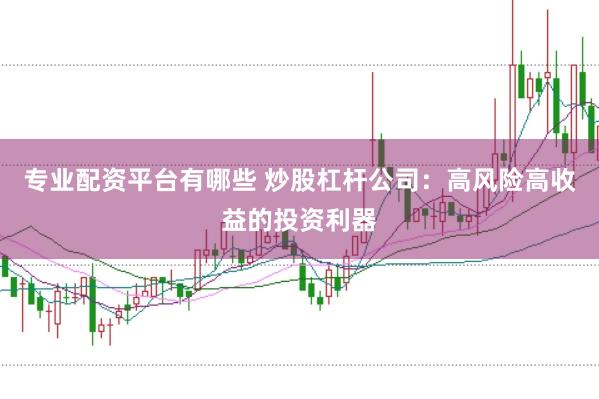 专业配资平台有哪些 炒股杠杆公司：高风险高收益的投资利器