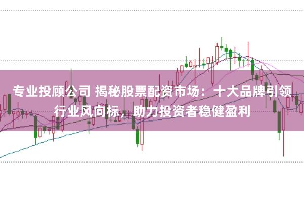 专业投顾公司 揭秘股票配资市场：十大品牌引领行业风向标，助力投资者稳健盈利