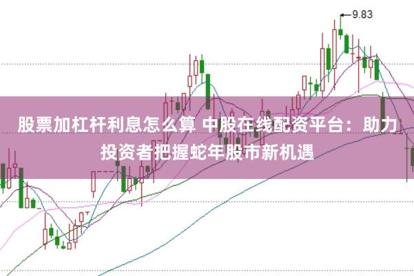 股票加杠杆利息怎么算 中股在线配资平台：助力投资者把握蛇年股市新机遇