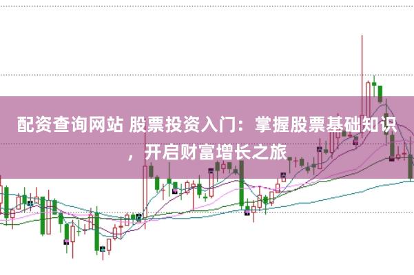配资查询网站 股票投资入门：掌握股票基础知识，开启财富增长之旅