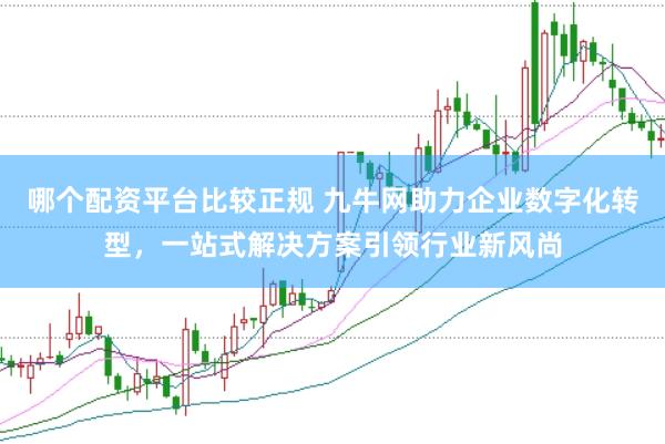 哪个配资平台比较正规 九牛网助力企业数字化转型，一站式解决方案引领行业新风尚