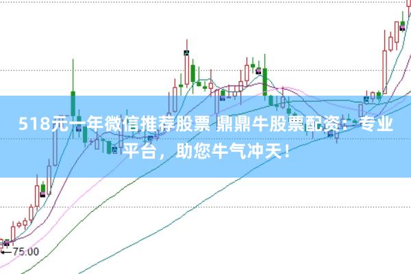 518元一年微信推荐股票 鼎鼎牛股票配资：专业平台，助您牛气冲天！