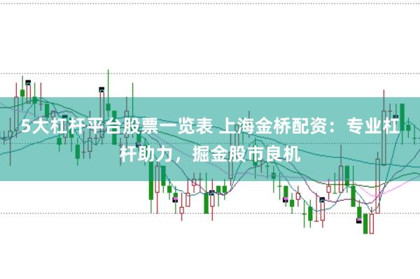 5大杠杆平台股票一览表 上海金桥配资：专业杠杆助力，掘金股市良机