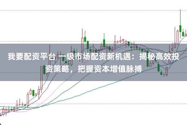 我要配资平台 一级市场配资新机遇：揭秘高效投资策略，把握资本增值脉搏