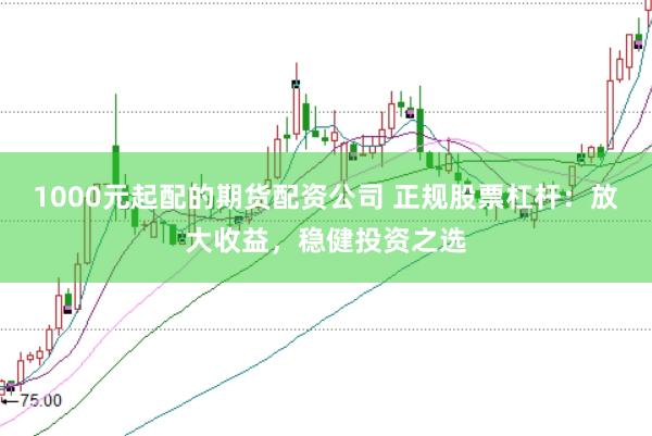 1000元起配的期货配资公司 正规股票杠杆：放大收益，稳健投资之选