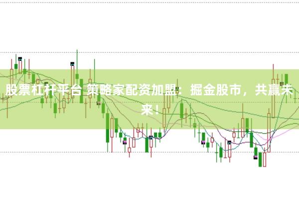 股票杠杆平台 策略家配资加盟：掘金股市，共赢未来！