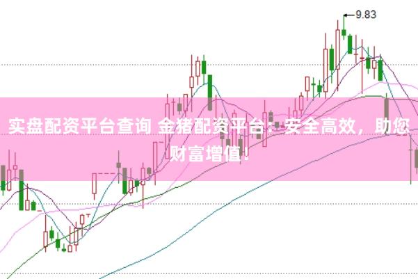 实盘配资平台查询 金猪配资平台：安全高效，助您财富增值！