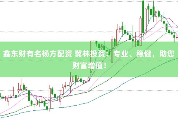 鑫东财有名杨方配资 冀林投资：专业、稳健，助您财富增值！
