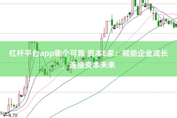 杠杆平台app哪个可靠 资本E家：赋能企业成长，连接资本未来