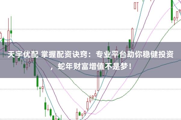 天宇优配 掌握配资诀窍：专业平台助你稳健投资，蛇年财富增值不是梦！