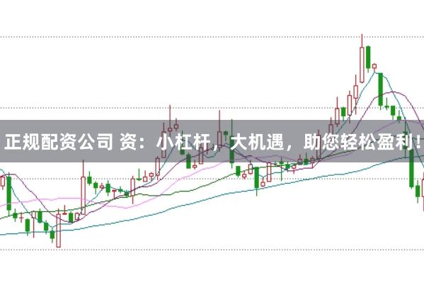 正规配资公司 资：小杠杆，大机遇，助您轻松盈利！
