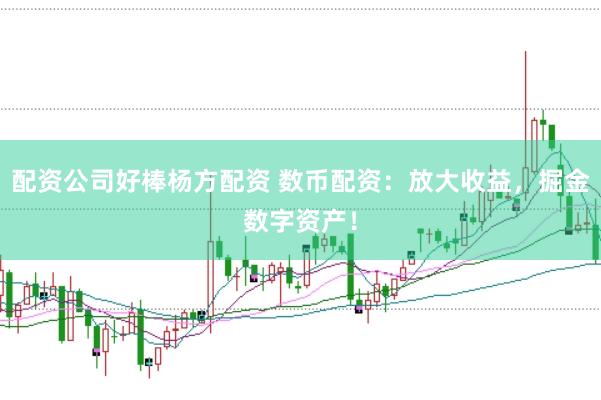配资公司好棒杨方配资 数币配资：放大收益，掘金数字资产！