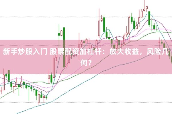 新手炒股入门 股票配资加杠杆：放大收益，风险几何？