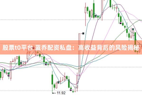 股票t0平台 蓝乔配资私盘：高收益背后的风险揭秘