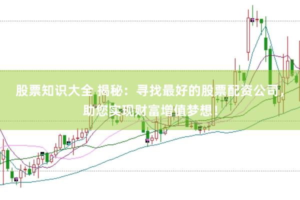 股票知识大全 揭秘：寻找最好的股票配资公司，助您实现财富增值梦想！
