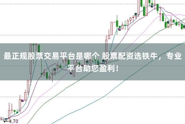 最正规股票交易平台是哪个 股票配资选铁牛，专业平台助您盈利！
