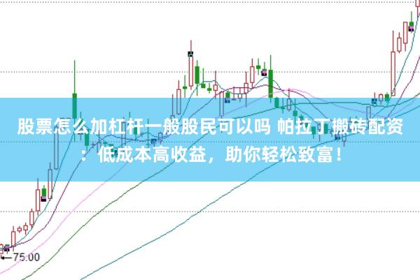 股票怎么加杠杆一般股民可以吗 帕拉丁搬砖配资：低成本高收益，助你轻松致富！