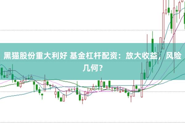黑猫股份重大利好 基金杠杆配资：放大收益，风险几何？