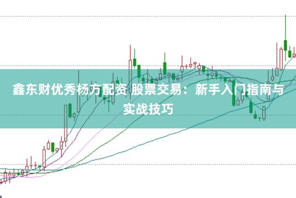 鑫东财优秀杨方配资 股票交易：新手入门指南与实战技巧