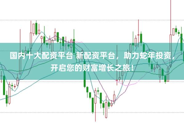 国内十大配资平台 新配资平台，助力蛇年投资，开启您的财富增长之旅！