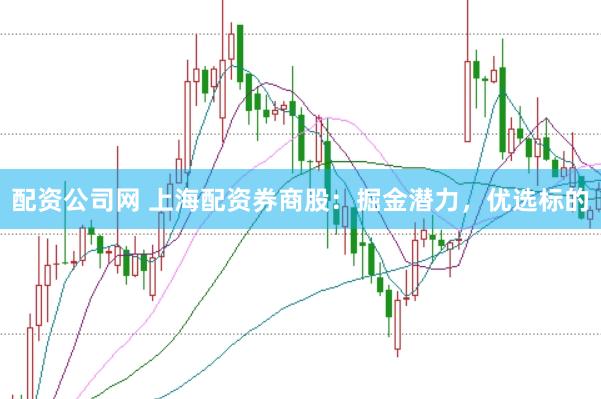 配资公司网 上海配资券商股：掘金潜力，优选标的