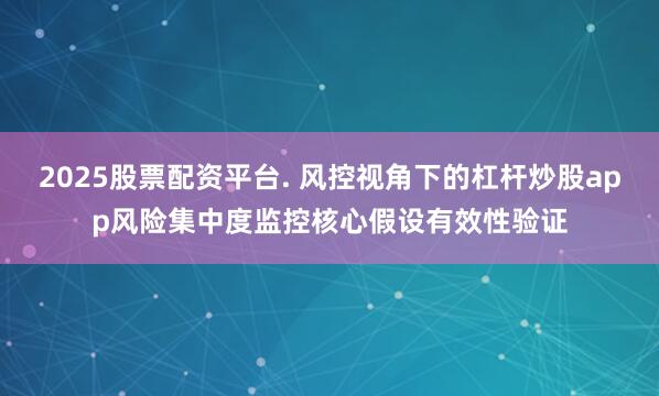 2025股票配资平台. 风控视角下的杠杆炒股app风险集中度监控核心假设有效性验证