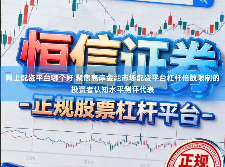 网上配资平台哪个好 聚焦离岸金融市场配资平台杠杆倍数限制的投资者认知水平测评代表